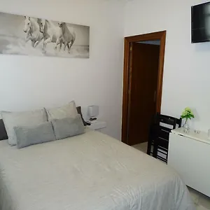 https://loft-jerez-central.es-andalucia.com